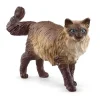 Ragdoll Kat