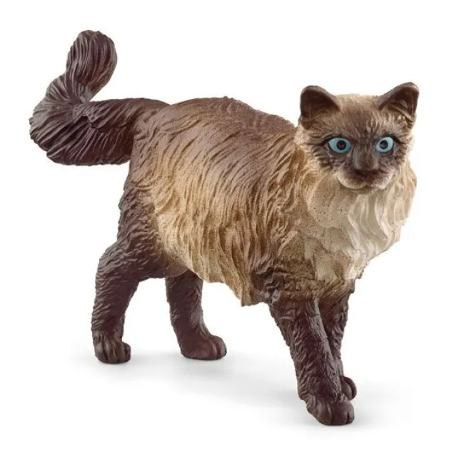 Ragdoll Kat