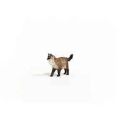 Ragdoll Kat