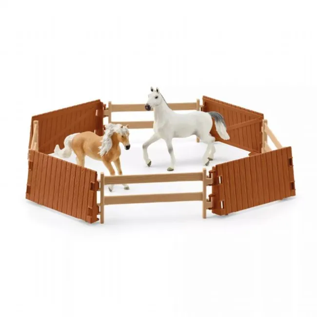 Ride arena