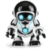 Robosapien Remix Robot