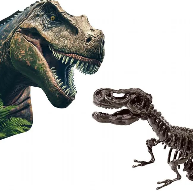 SES Creative - Udhug - T-rex og skelet