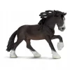 Shire hingst