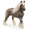 Silver Dapple-Hoppe