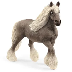 Silver Dapple-Hoppe