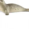 Sæl