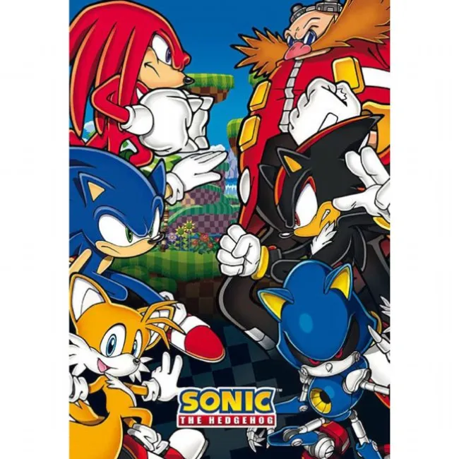 Sonic Plakat 91,5x61 cm