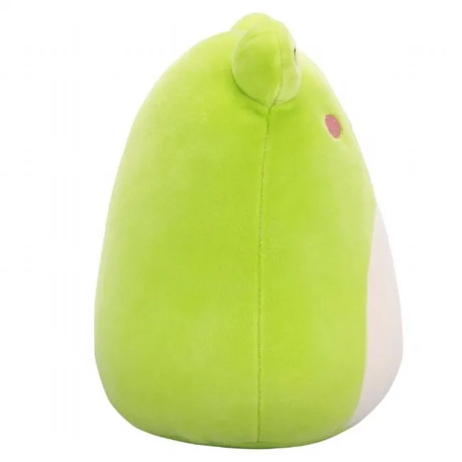 Squishmallows Wendy the Frog 19cm