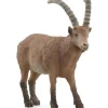 Stenbuk