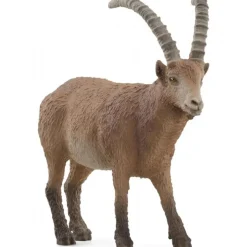 Stenbuk