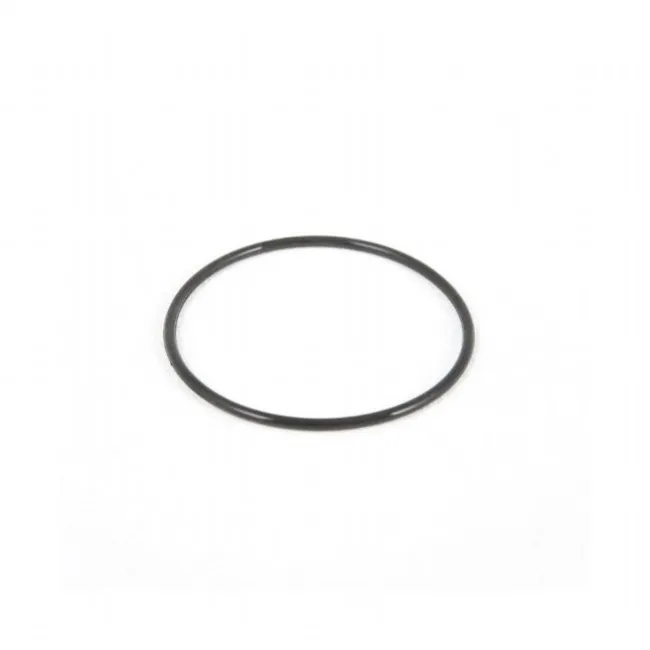 Strainer O-ring til Sandfilter 2.006L