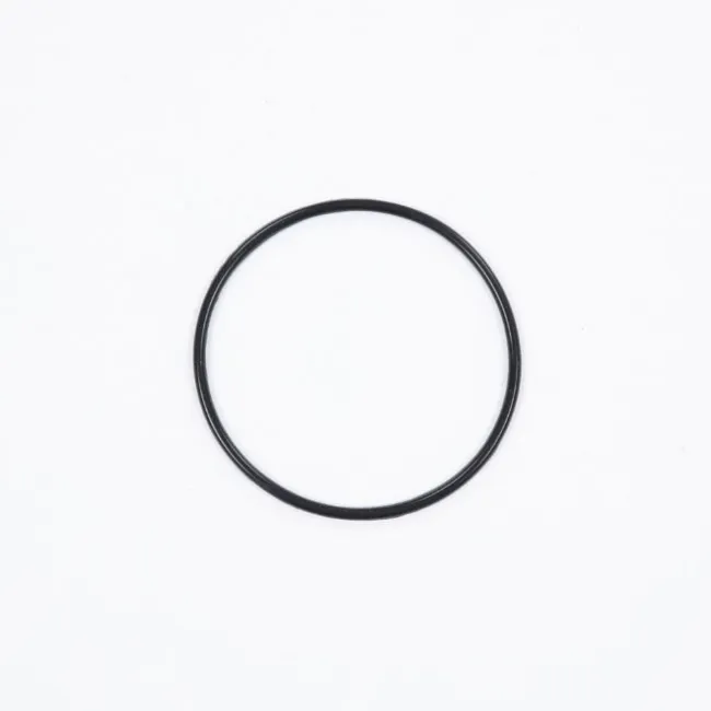 Strainer O-ring til Sandfilter 2.006L
