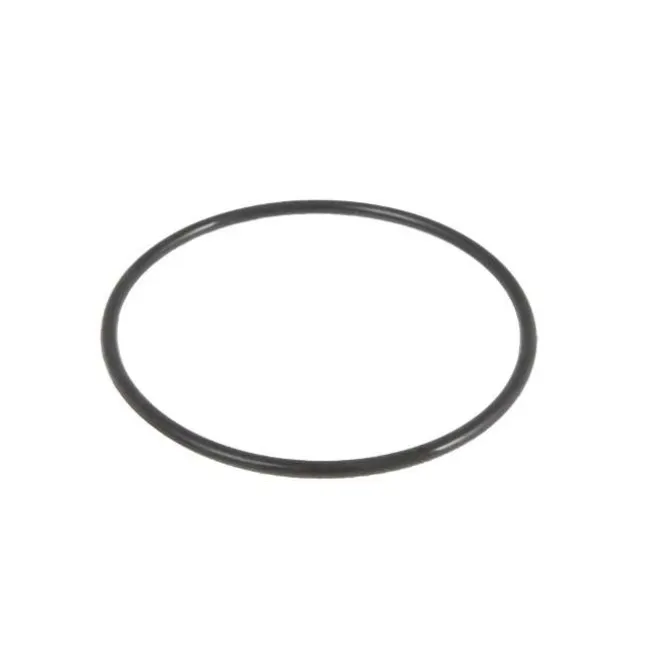 Strainer O-ring til Sandfilter