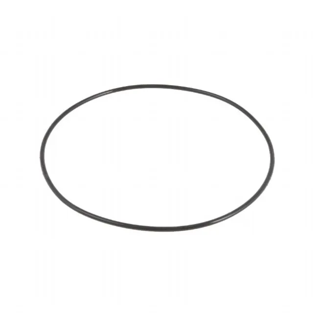 Tank O-ring til Sandfilter 2.006L