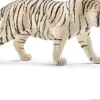 Tiger, hvid