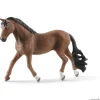 Trakehner vallak