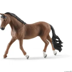 Trakehner vallak