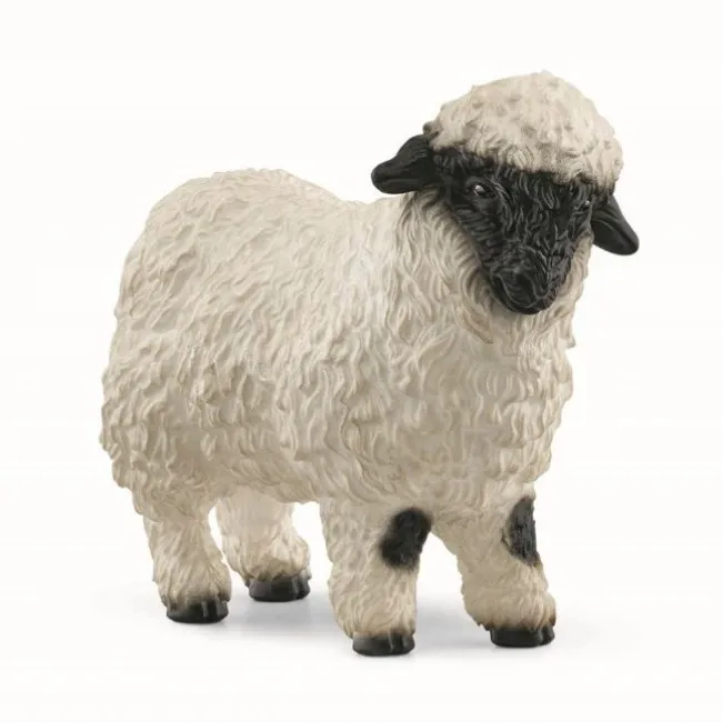 Valais Blacknose-får
