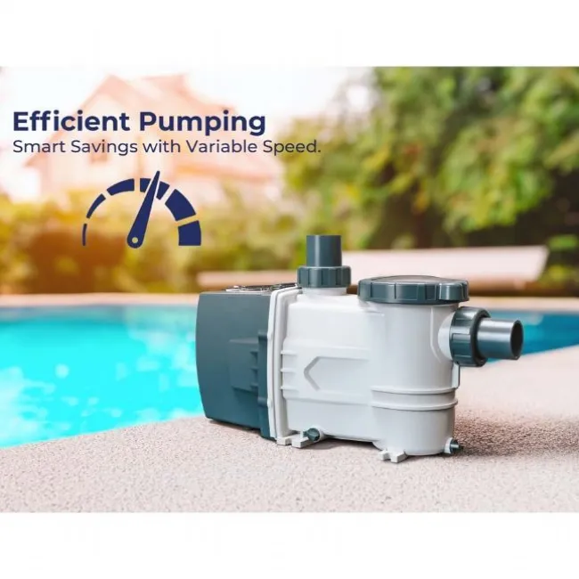 Variable Speed Pump