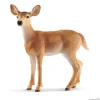 Whitetail-hind