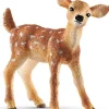 Whitetail-kalv