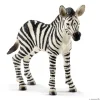 Zebraføl