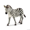 Zebrahoppe